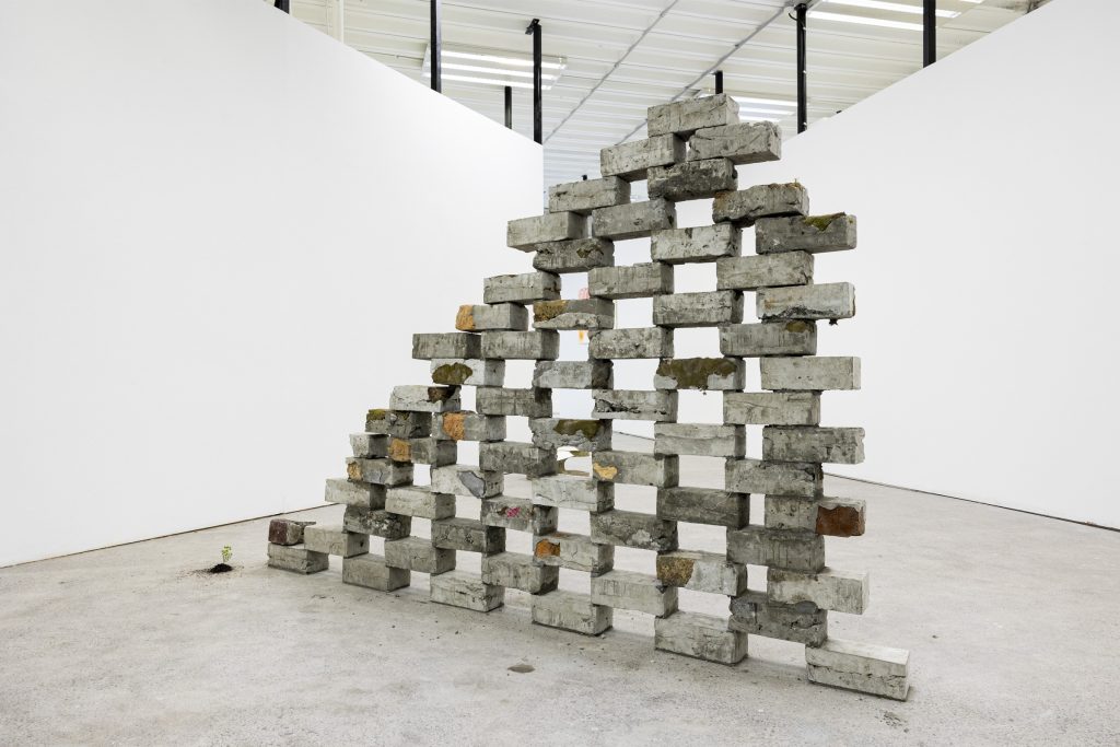 Delaney Sturrock, Bachelor of Fine Arts (Honours), 2023, student work, Whitecliffe College, exhibition, installation, brick, wall, Whitecliffe End of year exhibition