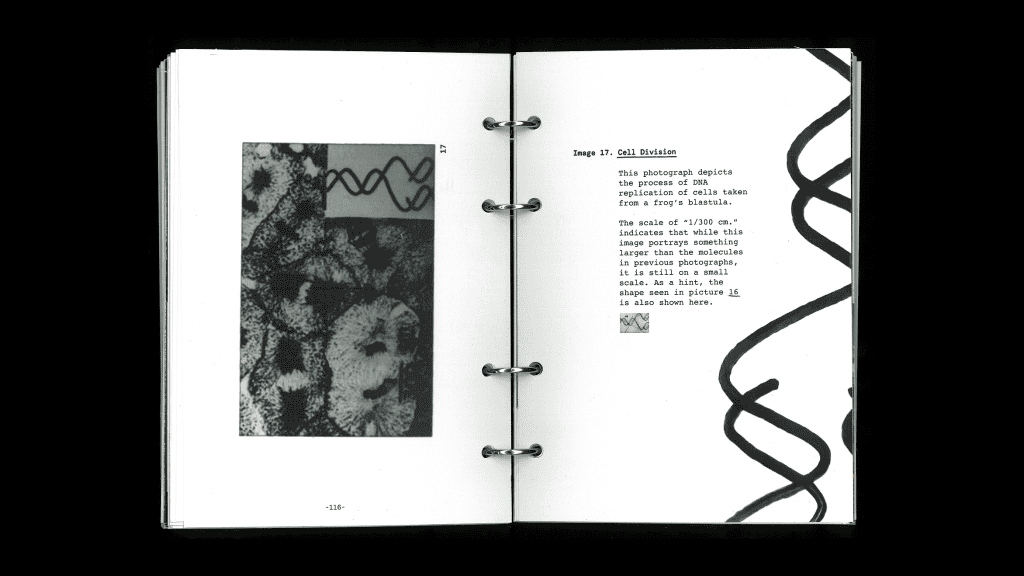 Jessica Park, Golden Records, Bachelor of Design + Digital Media, Best Design Awards, Designers Institute of New Zealand