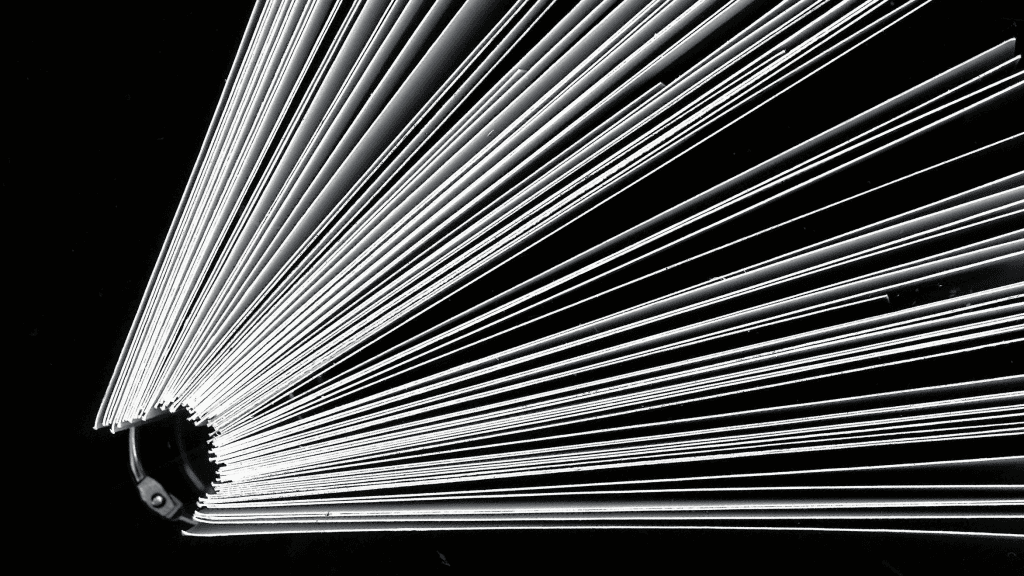 Jessica Park, Golden Records, Bachelor of Design + Digital Media, Best Design Awards, Designers Institute of New Zealand