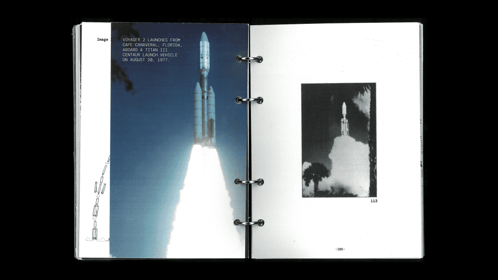 Jessica Park, Golden Records, Bachelor of Design + Digital Media, Best Design Awards, Designers Institute of New Zealand