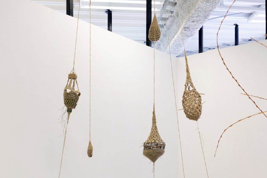 Kaitlyn Sergeant, Bachelor of Fine Arts, Year 3, 2022, student work, Whitecliffe College, exhibition, installation, Whitecliffe End of year exhibition