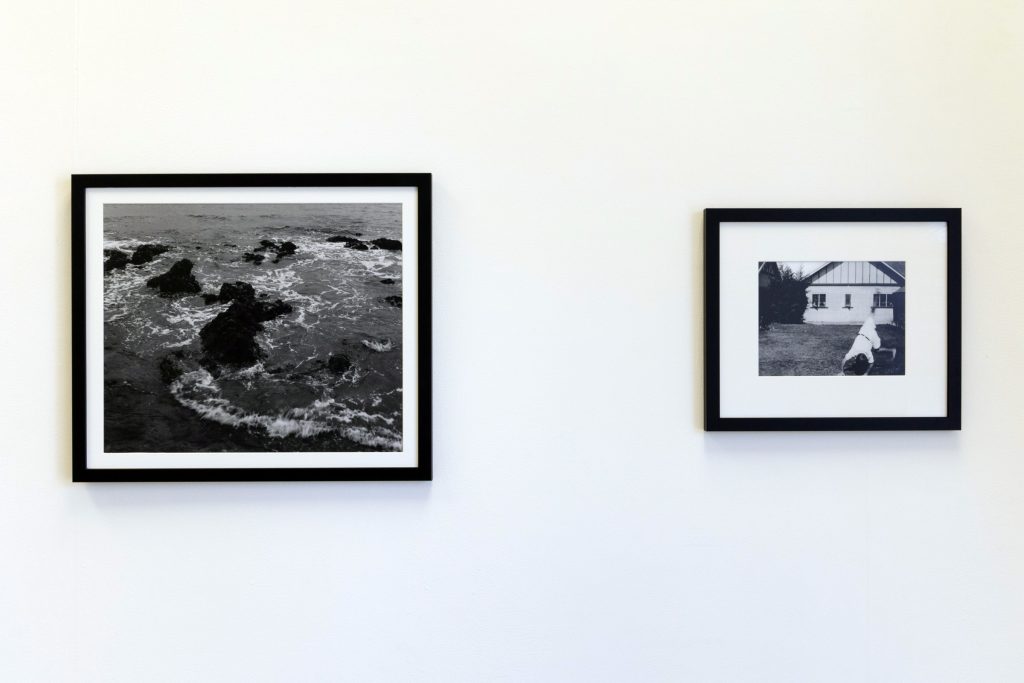 Ziggy Bond, Bachelor of Fine Arts (Honours), 2022, End of year Fine Arts exhibitions, Whitecliffe student work, Photo media, photography, Black and white