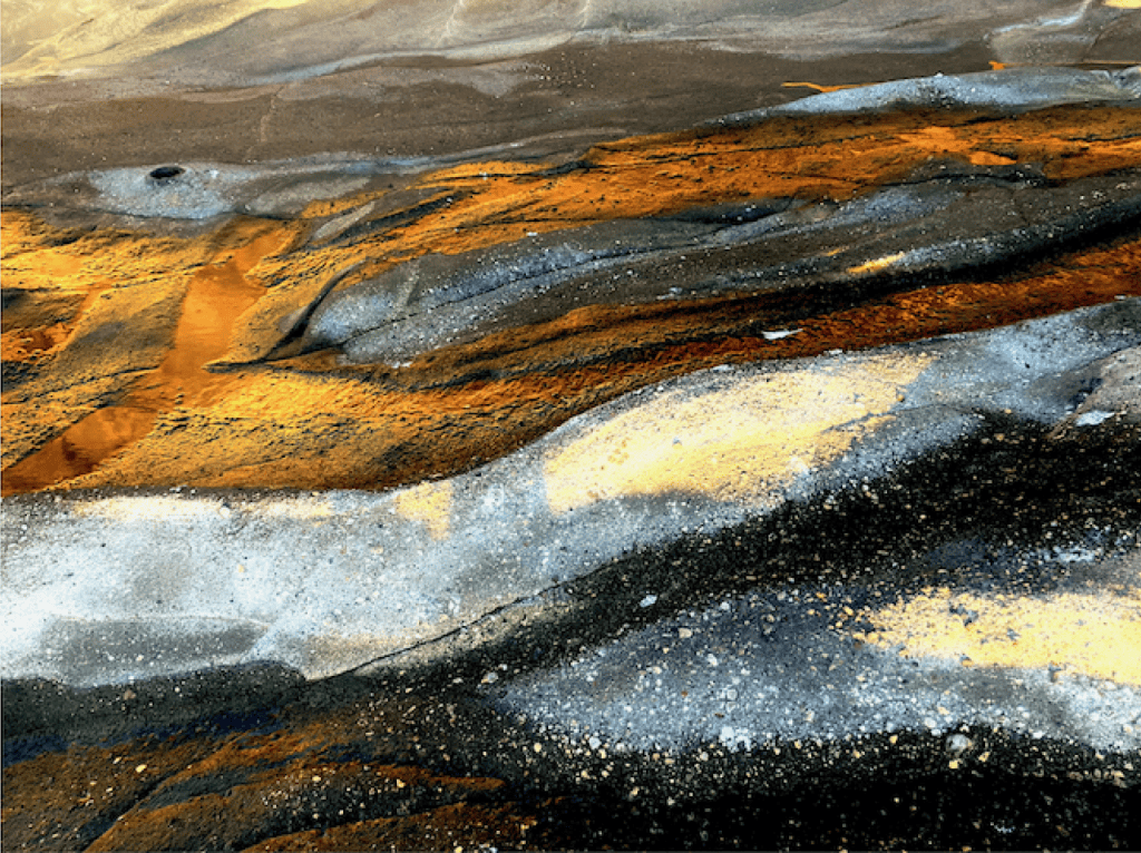 Whitecliffe, Fine Arts, Bachelor, Barbara Versfelt, Fotofest Exhibit, Depot Artspace Exhibit, article