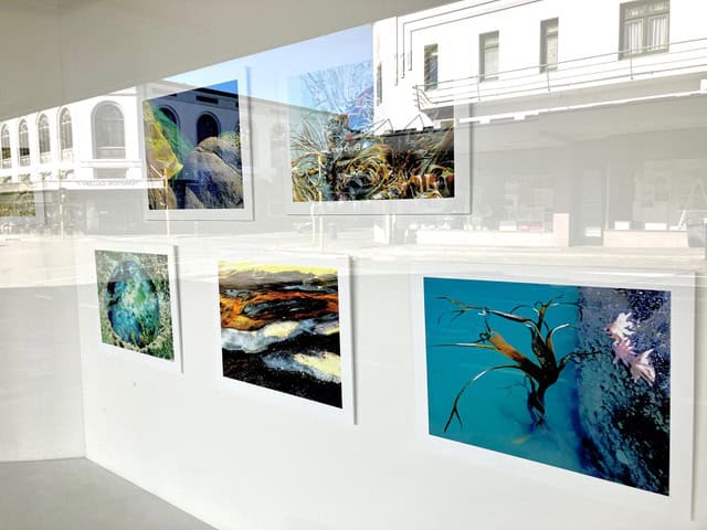 Whitecliffe, Fine Arts, Bachelor, Barbara Versfelt, Fotofest Exhibit, Depot Artspace Exhibit, article