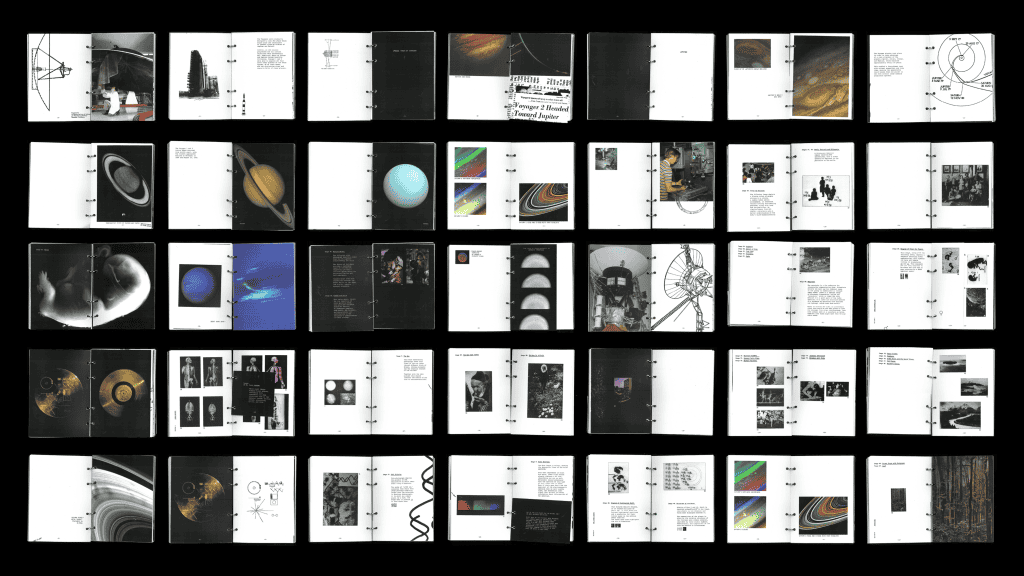 Jessica Park, Golden Records, Bachelor of Design + Digital Media, Best Design Awards, Designers Institute of New Zealand