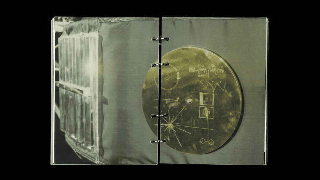 Jessica Park, Golden Records, Bachelor of Design + Digital Media, Best Design Awards, Designers Institute of New Zealand