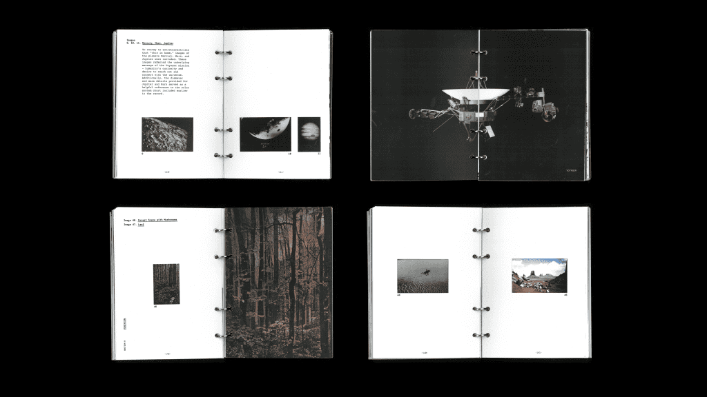 Jessica Park, Golden Records, Bachelor of Design + Digital Media, Best Design Awards, Designers Institute of New Zealand