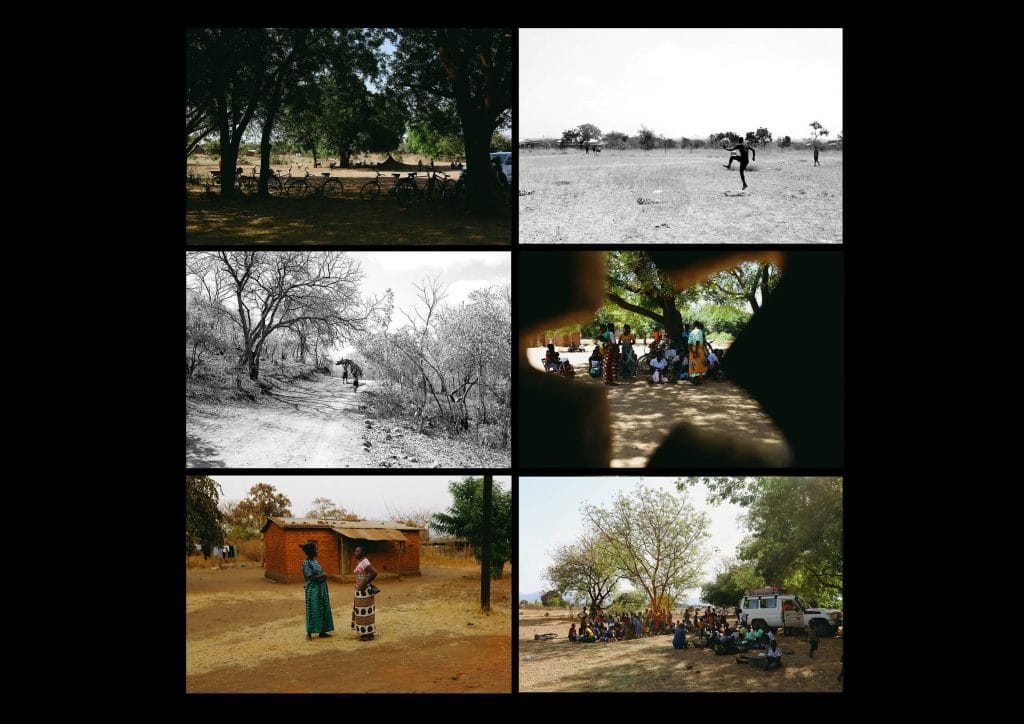 Zoe White, Perspective, Bachelor of Design + Digital Media, Best Design Awards, Designers Institute of New Zealand; graphic designer; book