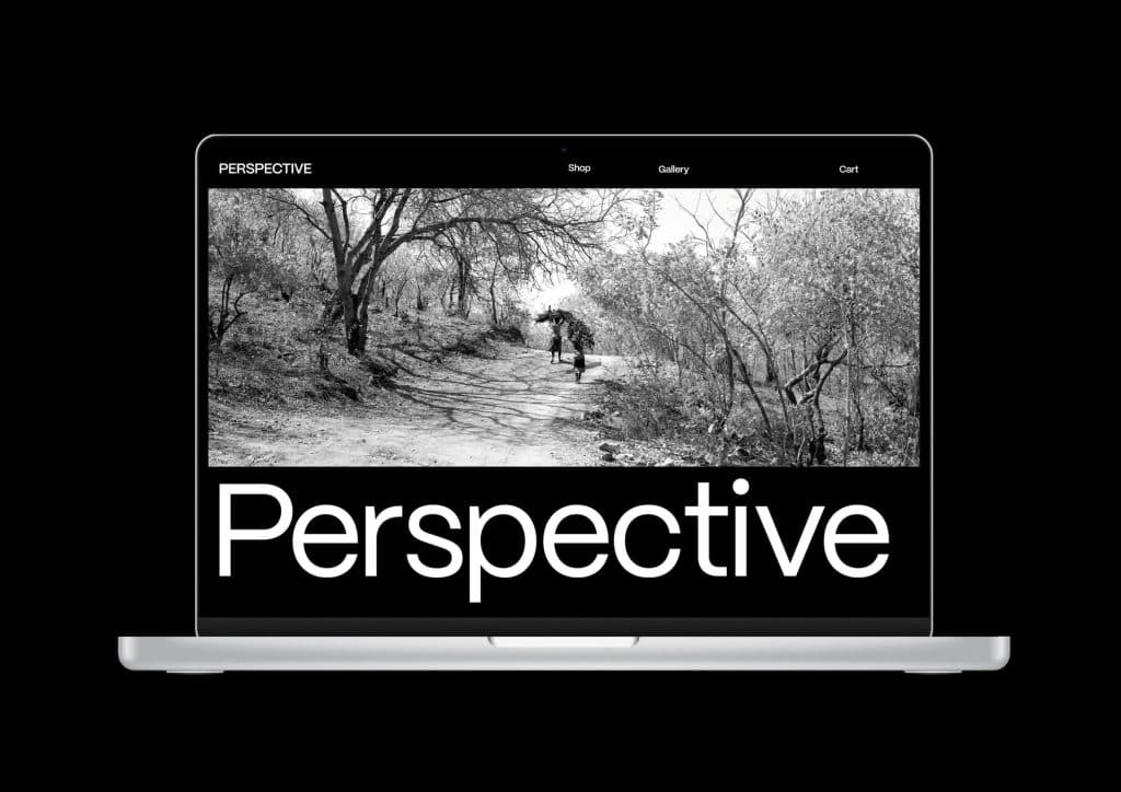 Zoe White, Perspective, Bachelor of Design + Digital Media, Best Design Awards, Designers Institute of New Zealand; graphic designer; book