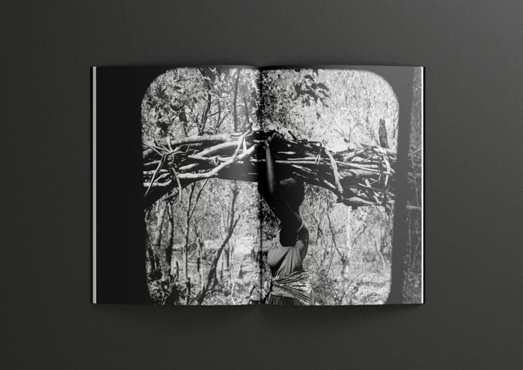 Zoe White, Perspective, Bachelor of Design + Digital Media, Best Design Awards, Designers Institute of New Zealand; graphic designer; book