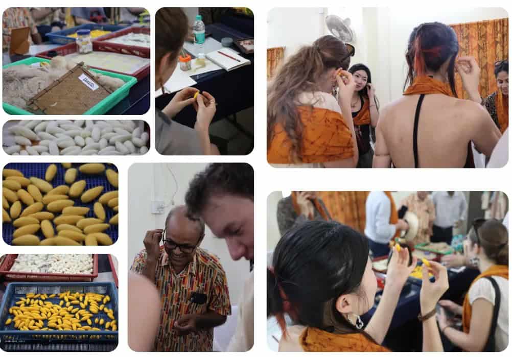 Whitecliffe Students Embark on PMSA India Immersive Experience