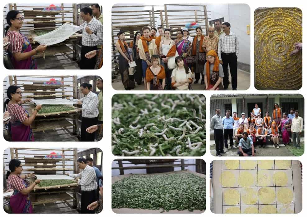 Whitecliffe Students Embark on PMSA India Immersive Experience