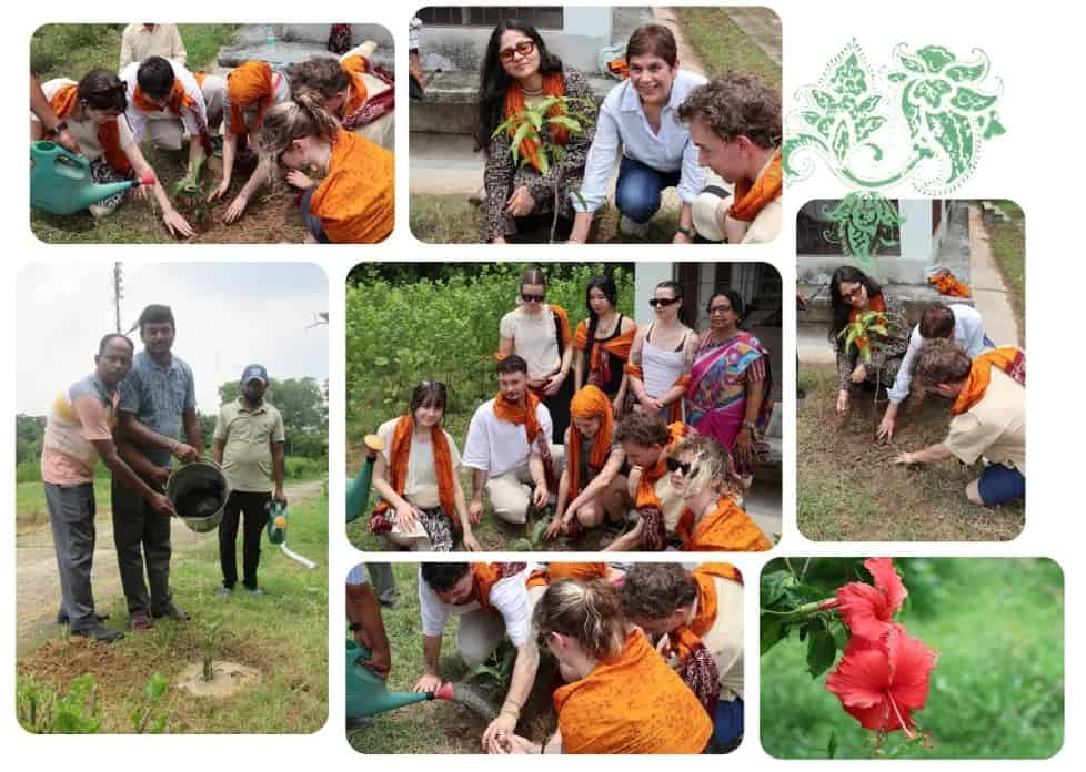 Whitecliffe Students Embark on PMSA India Immersive Experience